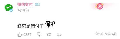 娱乐吃瓜酱励志句子,从娱乐碎片中汲取人生力量
