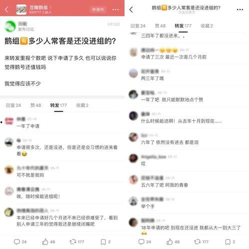 娱乐圈吃瓜小组名单公布,揭秘明星幕后故事，揭秘娱乐圈真相