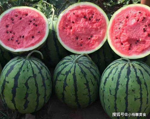 娱乐吃瓜酱半生不熟,娱乐吃瓜酱的娱乐圈秘闻杂谈