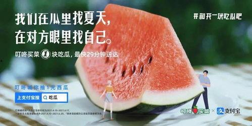 娱乐吃瓜简介文案,吃瓜群众必备的娱乐八卦速览