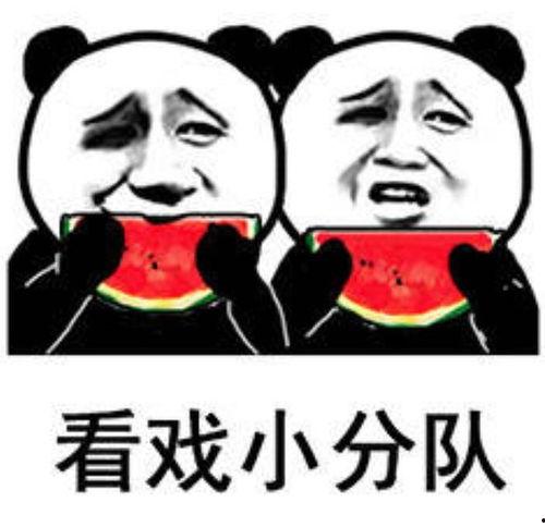 发红包娱乐吃瓜酱,娱乐吃瓜酱带你领略网络社交新风尚