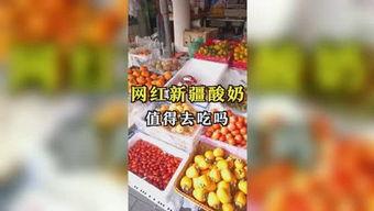 吃瓜娱乐营,揭秘娱乐圈背后的故事与真相