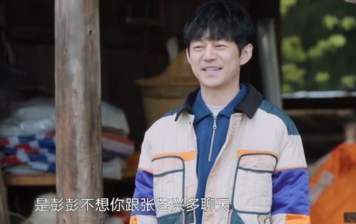 吃瓜娱乐杨紫是谁,吃瓜娱乐界的实力派小花