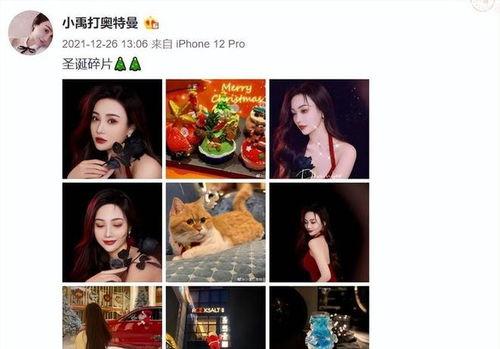 娱乐吃瓜君颜值对比小说,娱乐吃瓜君与小说角色颜值大比拼