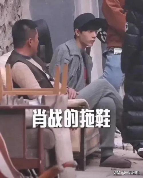 娱乐圈吃瓜大集合下载,揭秘“吃瓜大集合”下载背后的精彩瞬间