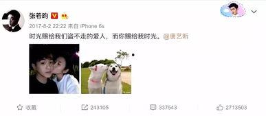 娱乐吃瓜君张翰